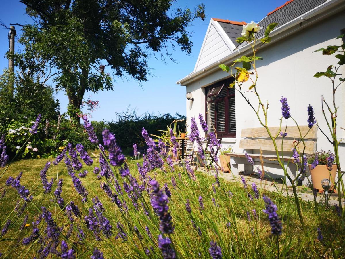 Bed and Breakfast Y Cuddfan Gower Swansea Exterior foto