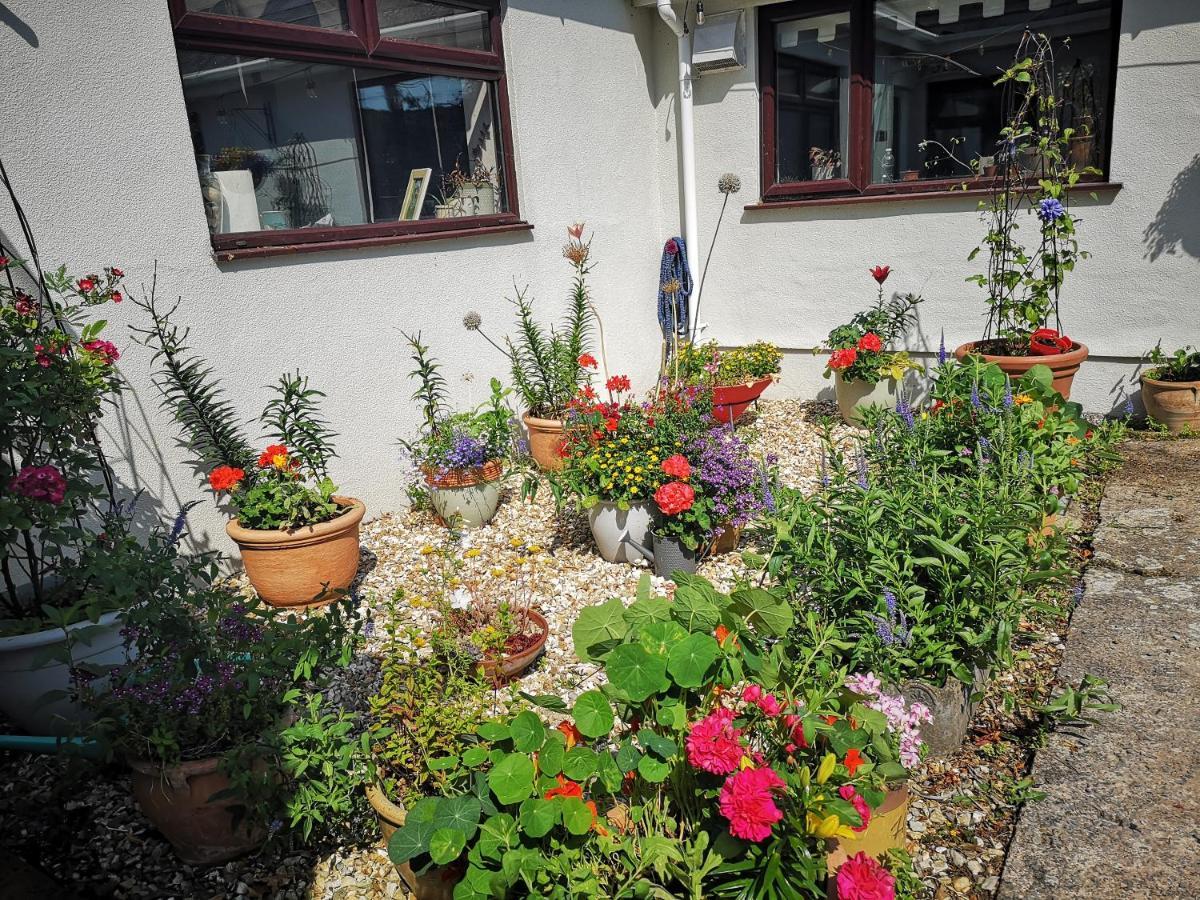 Bed and Breakfast Y Cuddfan Gower Swansea Exterior foto